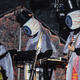 Image for article titled R.I.P. Hardy Fox, primary composer for The Residents